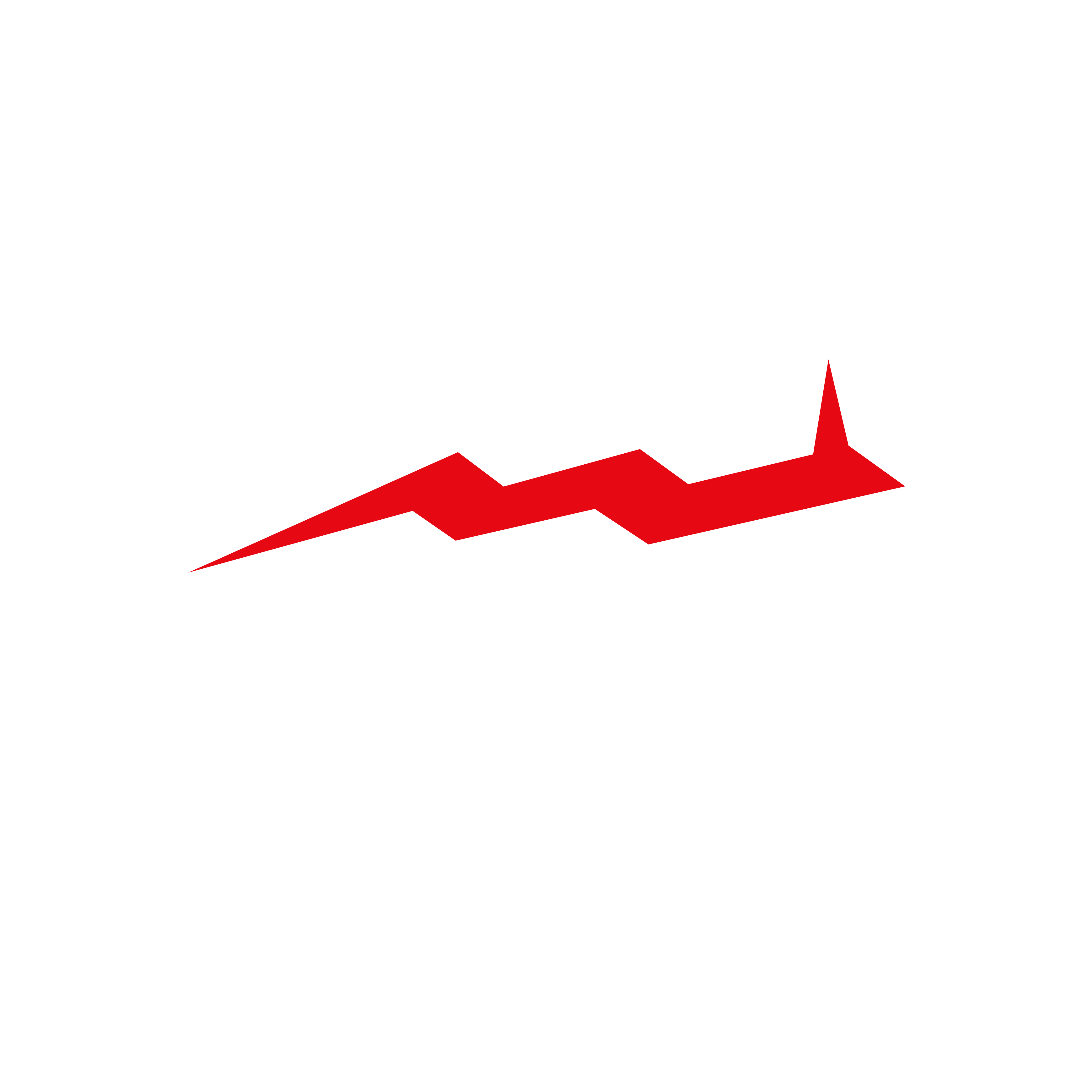 AVORA Logo
